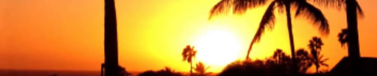 Hot Vacations Domestic International