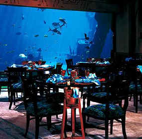 Atlantis Paradise Island Dining