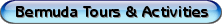 bermudatours 