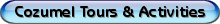 cozumeltours.png
