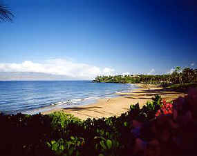 Four Seasons Resort