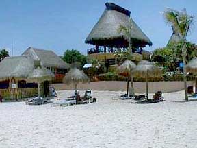 Reef Playacar Property
