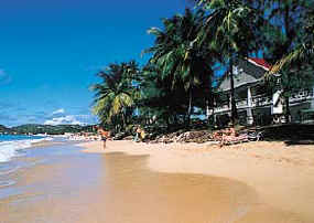 Rex St. Lucian 