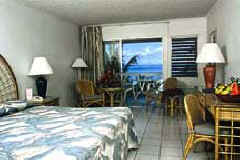 Rex St. Lucian Room