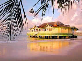 Sandals Halcyon Dining