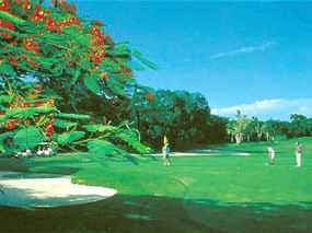 South Ocean Golf & Beach Property