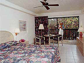 Treasure Island Room