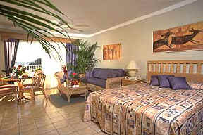 Villa Del Palmar Room
